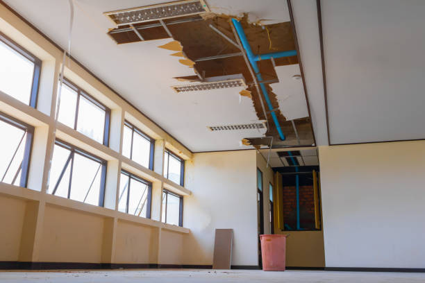 Best 24/7 water damage repair  in Lincoln, IL