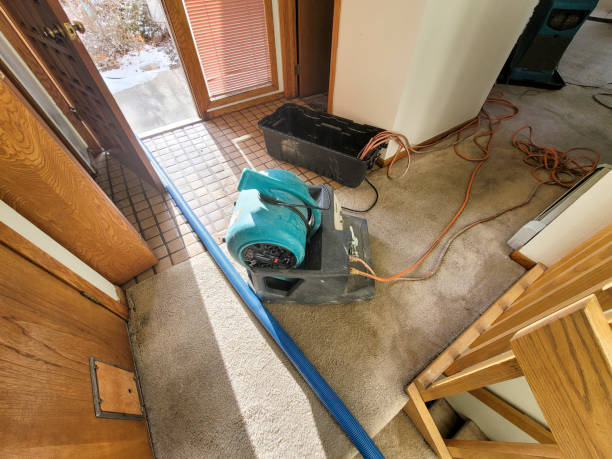 Professional Water damage restoration in Lincoln, IL